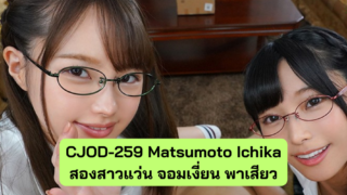 CJOD-259 Matsumoto Ichika สาวแว่นพาเสียว ผลัดกันรุก ผลัดกันรับ ขย่มตอสุดมันส์